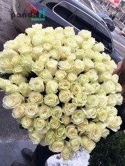 101 белая роза 90 см импорт