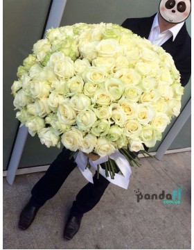 101 white rose 100 cm