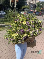 101 еустома мікс
