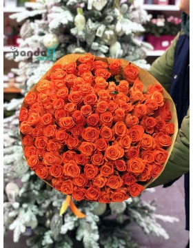 101 coral rose 90 cm
