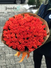 101 коралловая роза Вау 80 см