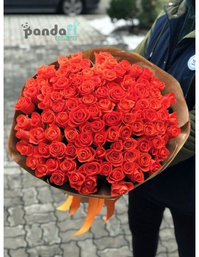 101 коралловая роза Вау 80 см