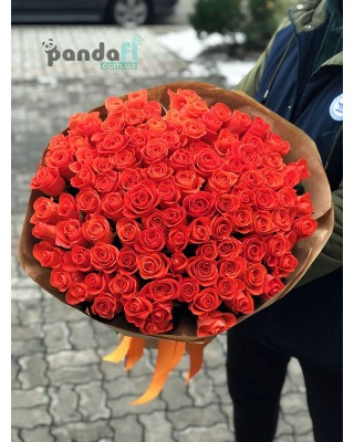 101 коралловая роза Вау 80 см
