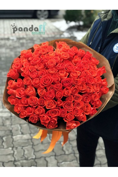 101 коралловая роза Вау 80 см