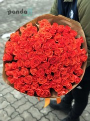 101 коралловая роза Вау 80 см