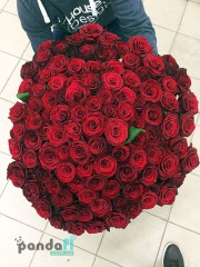 101 червона троянда 60 см