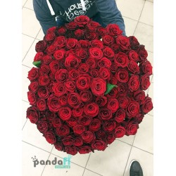 101 красная роза 60 см