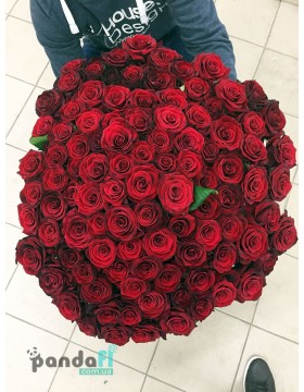 101 красная роза 60 см