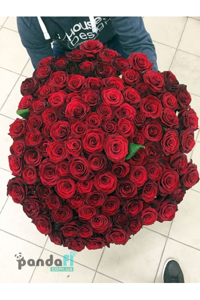 101 червона троянда 60 см