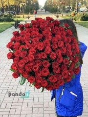 101 красная роза 90 см