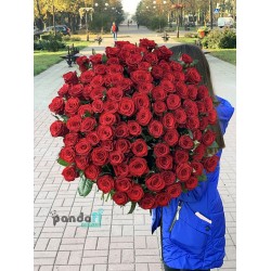 101 красная роза 90 см