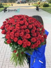 101 красная роза 90 см