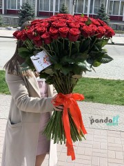 101 красная роза 80 см #2