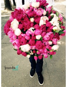 101 пион