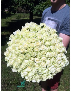 101 white rose 60 cm