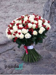 101 роза микс белых и красных кустовых 70 см