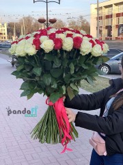 101 роза микс красная и белая 80 см