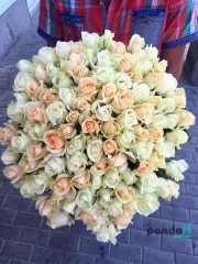 101 роза микс белая и кремовая 70 см