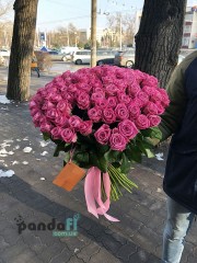 101 рожева троянда Аква 60 см