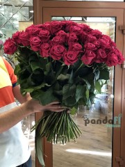 101 розовая роза Шангрила 60 см