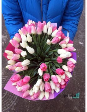 101 тюльпан микс 2 цвета