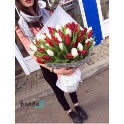 101 тюльпан микс белый и красный