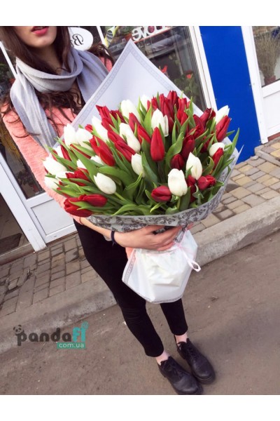 101 тюльпан микс белый и красный