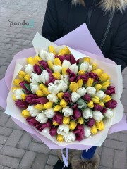 101 тюльпан
