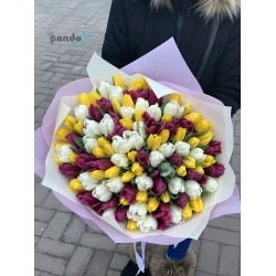 101 тюльпан