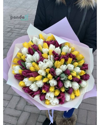 101 тюльпан