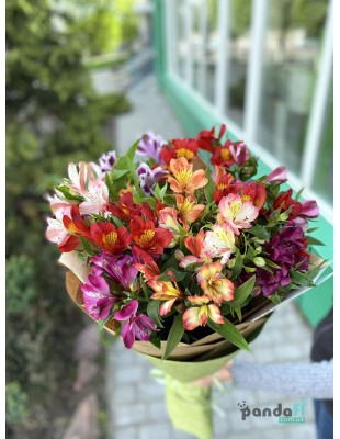 11 alstroemerias