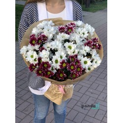 11 хризантем мікс #3