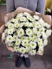 11 білих хризантем #2