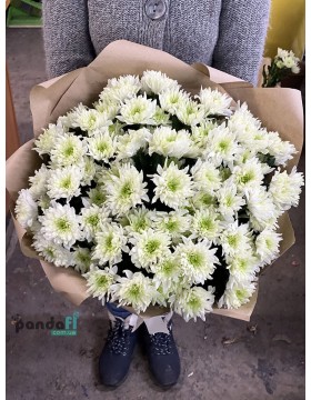 11 white chrysanthemums #2