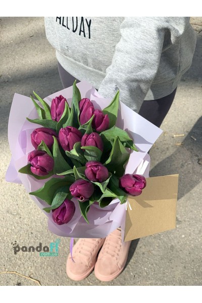 11 purple tulips