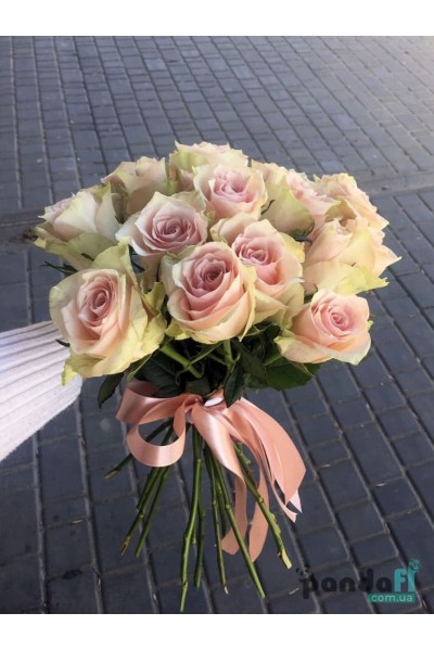11 imported roses