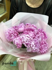 11 peonies imported