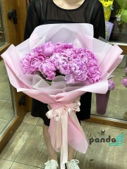11 peonies imported