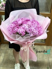 11 peonies imported