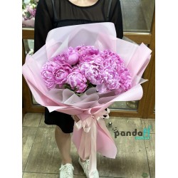 11 peonies imported