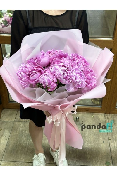 11 peonies imported