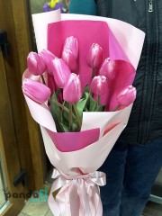 11 crimson tulips