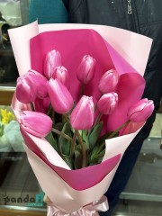 11 crimson tulips