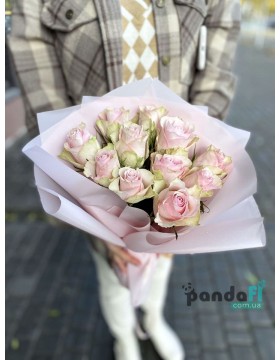 11 soft pink roses