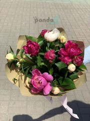 11 peonies mix