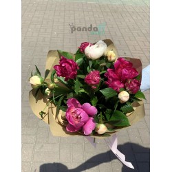 11 peonies mix