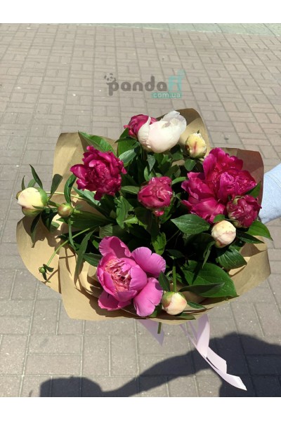 11 peonies mix