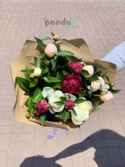 11 peonies