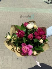 11 peonies mix