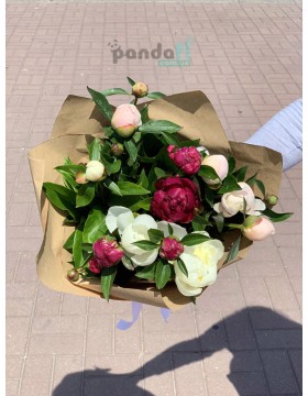 11 peonies